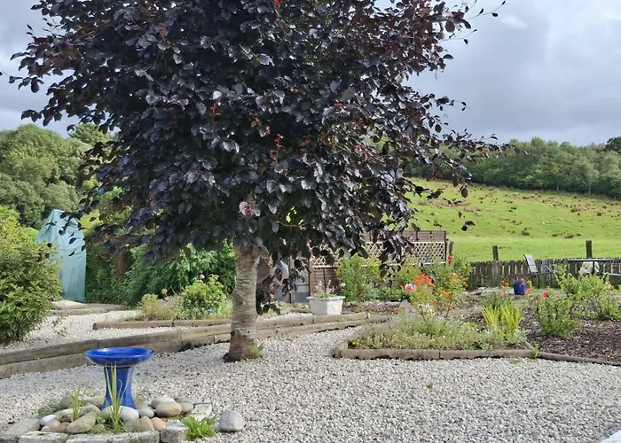 Гостевой дом The Serendipity At Rashedoge