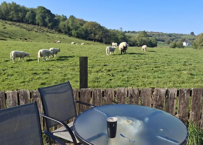 The Serendipity At Rashedoge 3* Letterkenny